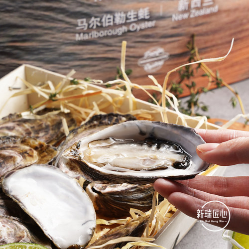 新西兰生蚝马尔伯勒刺身