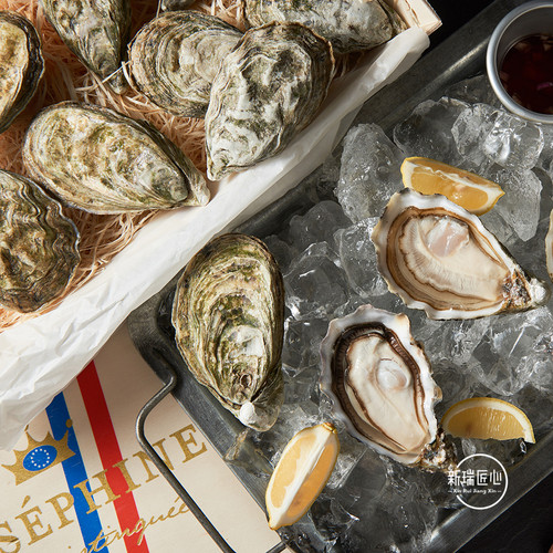 鲜活约瑟芬木箱吉娜朵出品生蚝