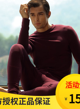 安莉芳IVU棉毛衫高圆V领打底羊绒加厚加肥大码保暖内衣裤男UD0116