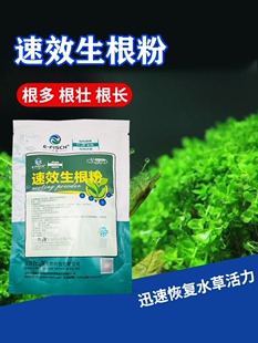 速效生根粉水产用伊乐藻烂根水草枯萎发黄快速速效长根粉肥急救丹
