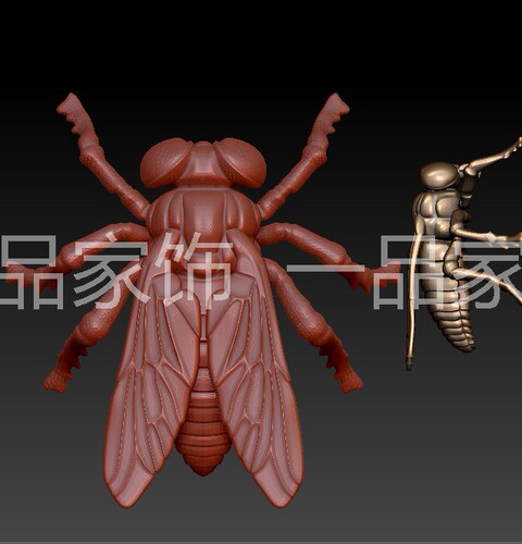 苍蝇大圆雕图stl模型三维图立体图精雕图3d打印非实物