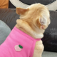 水果甜心背心英法斗泰迪恶霸犬巴哥西高地胖狗卫衣服可爱透气夏薄