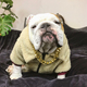 大码 反季 清仓羊羔绒外套英法斗恶霸犬巴哥胖宠物狗衣服潮加绒冬款