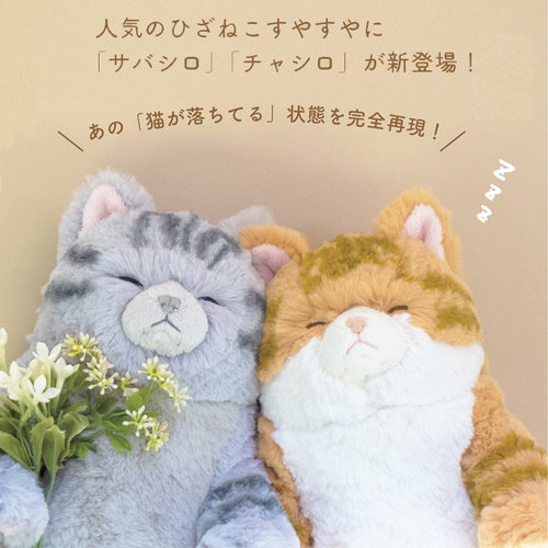 sunlemon瞌睡猫2022新款