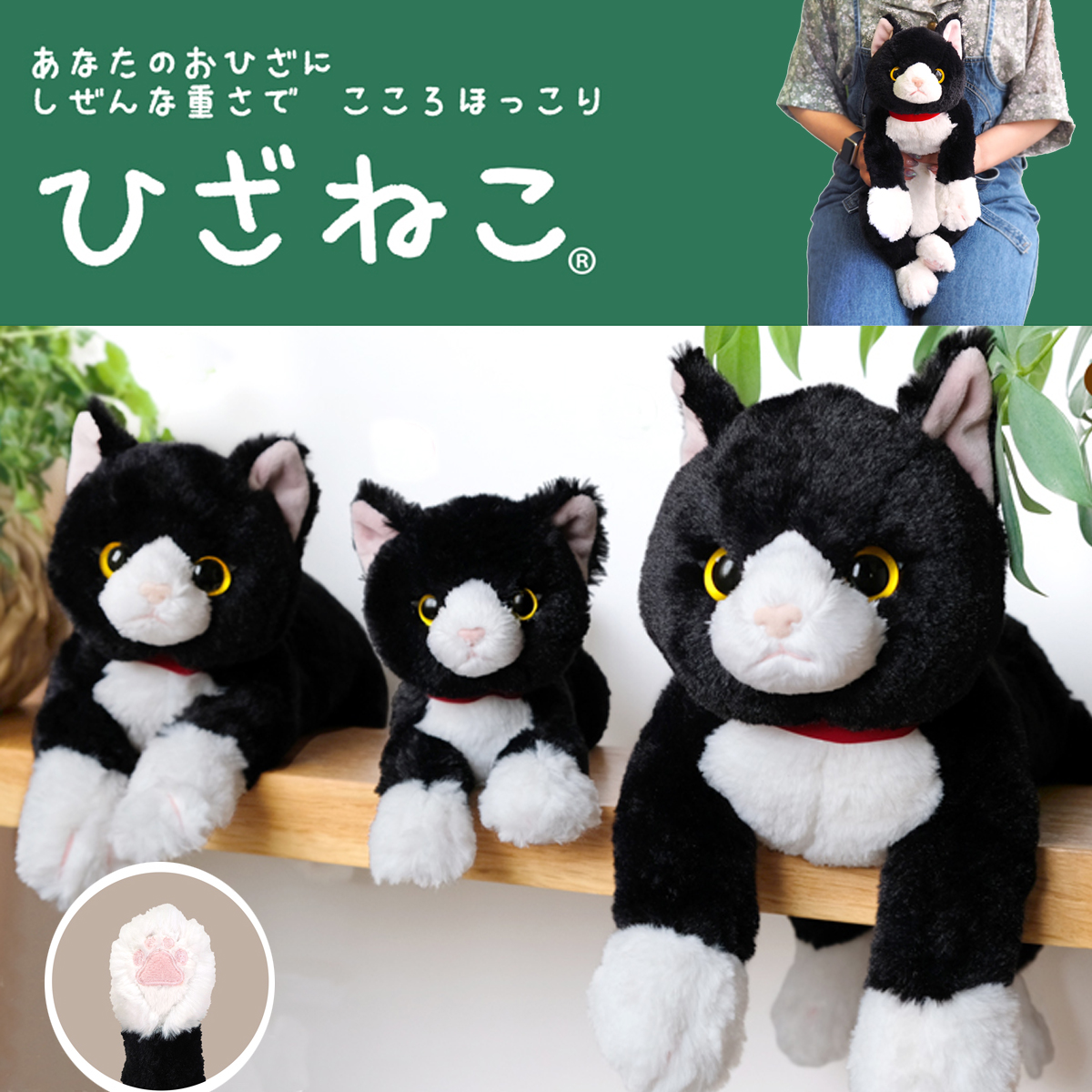 燕尾服猫猫咪奶牛猫sunlemon再贩