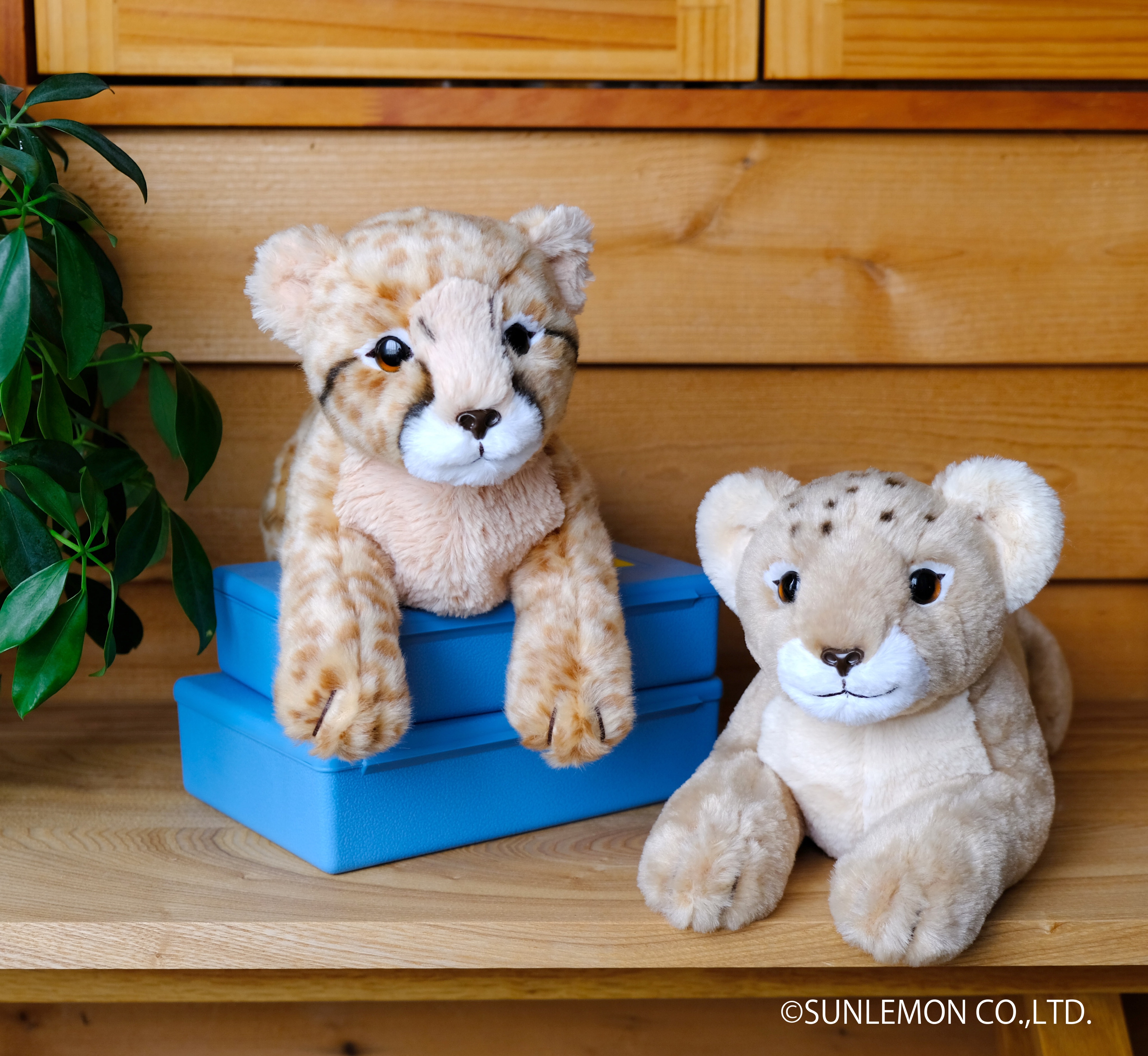 sunlemon狮子猎豹兔狲玩具治愈系