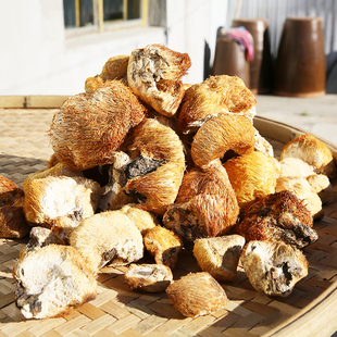 新东北野生猴头菇新鲜干货野生猴头菇粉纯野生猴头菇菌250克包邮