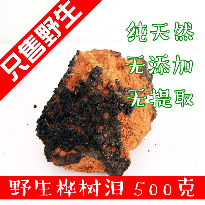 桦树泪野生大兴安岭 桦树茸500克包邮桦褐孔菌桦树胆