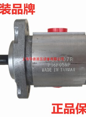 正品2GG1P04/05/06/07/08/09/11/14/16/R高压齿轮泵 1B