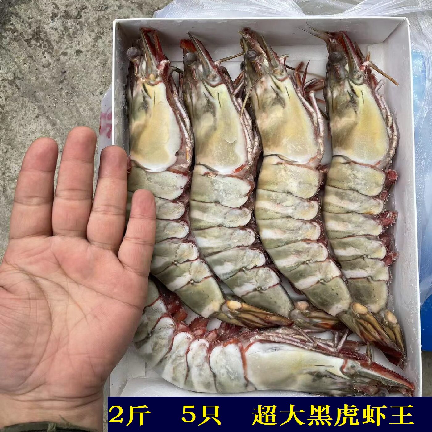 黑虎虾超大鲜活大虾速冻海鲜老虎虾特大虾类海虾虎虾斑节虾九节虾