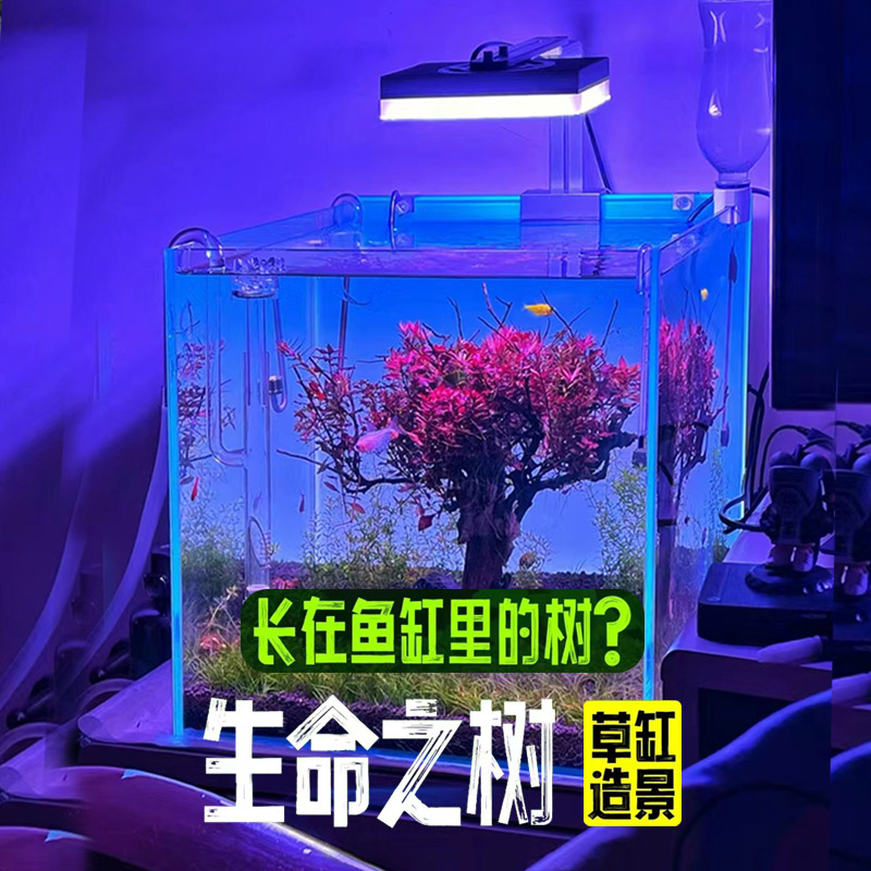 成品鱼缸树生命之树水榕树水草造景摆件植物懒人活体水草鱼缸装饰
