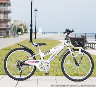 日本品牌mypallas22寸变速山地车青少年单车学生车轻快单车车M822