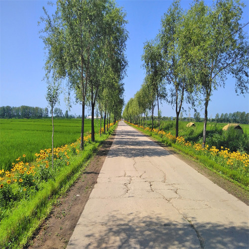 3d立体背景布户外风景草地草坪