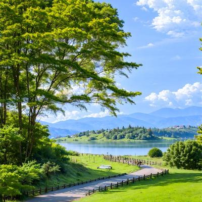 新3D直播背景布小桥樱花桃花竹林室外风景小路秋叶立体主播背景布