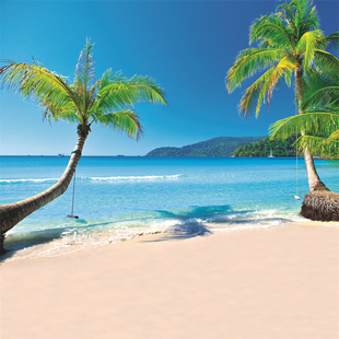 海景沙滩直播间背景布蓝天白云海边椰树风景主播拍照3d立体背景墙