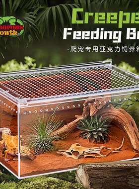 亚克力透明塑料宠物饲养盒爬宠箱子树蛙蜥蜴守宫角蛙蜘蛛龟爬虫类