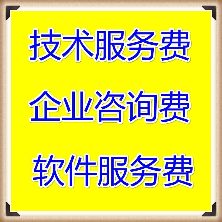 技术服务费企业咨询费