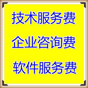 技术服务费企业咨询费软件服务费6219030238158311