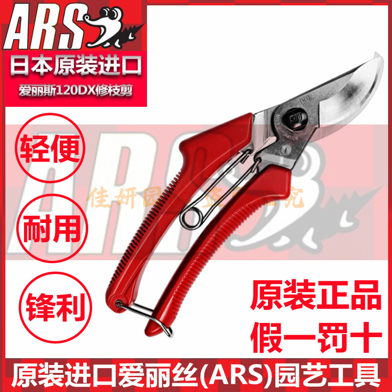 爱丽斯120DX日本ARS进口修枝剪刀园艺剪枝剪盆景苗木剪果树剪刀