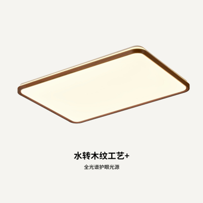 中古风客厅主灯2025新款法式吸顶