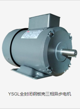 YSGL8024-A1 全封闭钢板壳三相异步电机 上海金陵雷戈勃劳伊特电