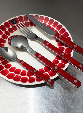 法国Sabre Paris不锈钢西餐餐具刀叉勺4件套法式小酒馆酒红色绿色