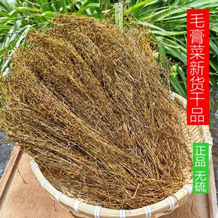 野生茅膏菜药材毛高菜一粒金丹草陈伤子地下明珠干品250克包邮