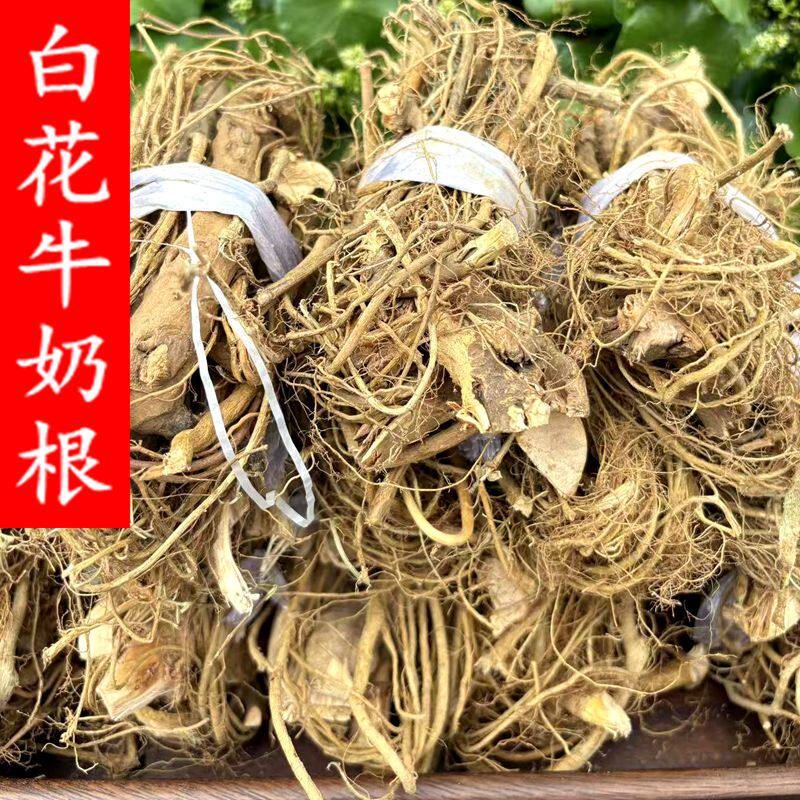 福建野生白花牛奶根扎把中药材炖煲鸡鸭汤料干货500克包邮