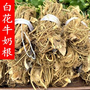 福建野生白花牛奶根扎把中药材炖煲鸡鸭汤料干货500克包邮