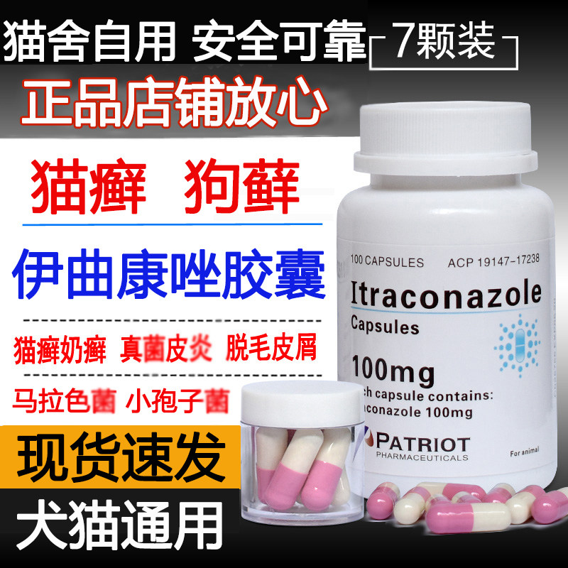 伊曲康唑猫藓口服护肝药猫狗癣真菌皮肤病宠物专用营养补充剂胶囊