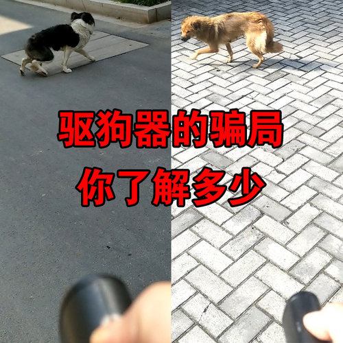便携式超声波驱狗器防追训猫专利