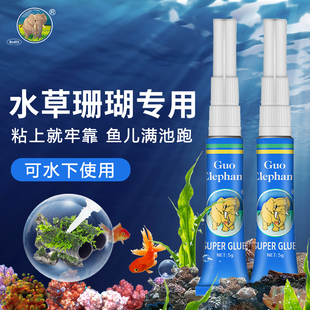 国象水草胶鱼缸造景莫斯沉木珊瑚莫丝骨架胶水水族专用海水粘石头