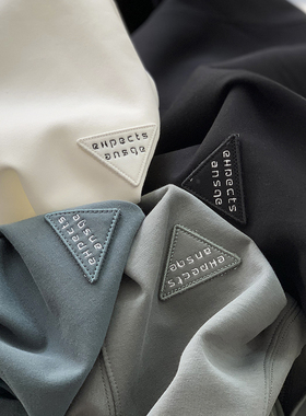 进口空气层 精致三角标 假两件设计 时尚男士宽松长袖卫衣春A2794