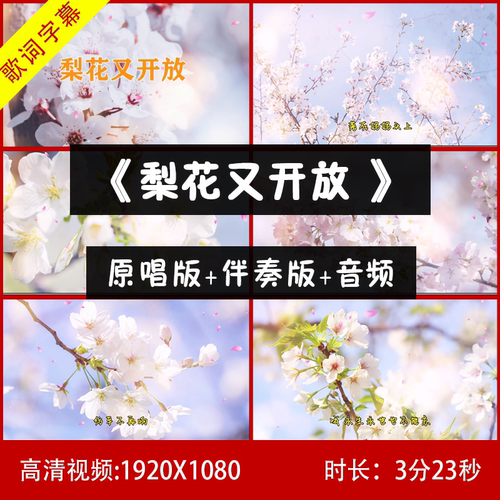 邱诗晗 - 梨花又开放 伴奏视频背景 舞台LED大屏幕视频