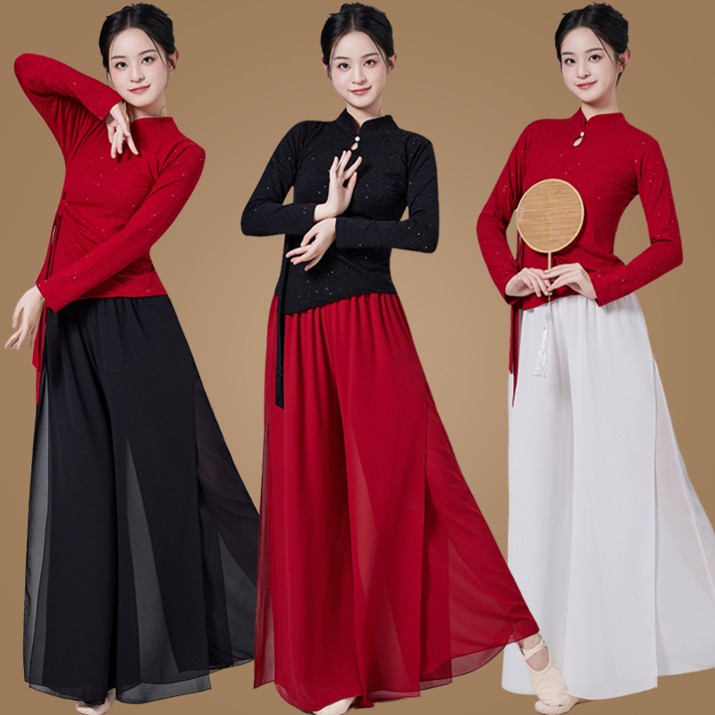 扇子舞古典舞蹈练功服民族演出服长袖跳舞衣广场舞服装新款套装女