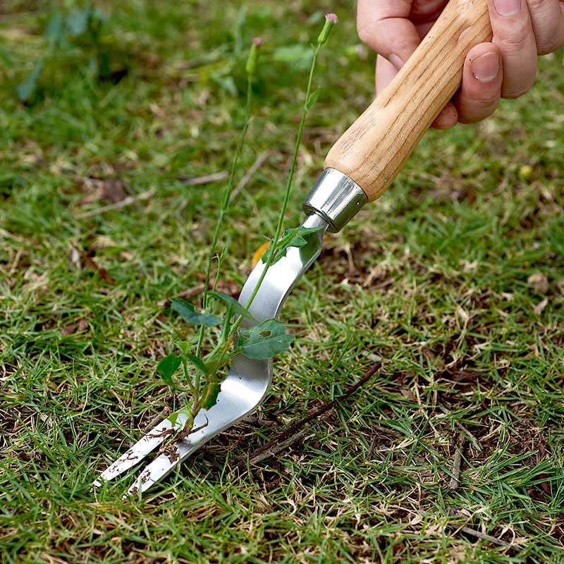 花小白园艺除草神器起苗器不锈钢木柄家用阳台花园种植除草工具