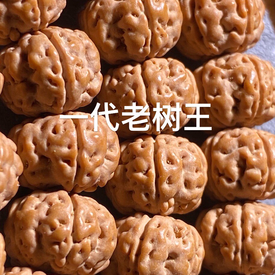 小金刚天然5瓣老树王下水去黄双龙108手串矮桩姜黄皮菩提子手串