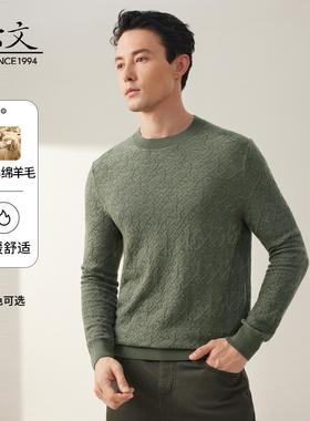 商场同款依文花纹绞花羊毛衫男时尚商务圆领纯羊毛毛衣EE830221