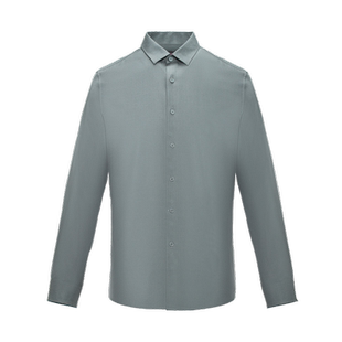 诺丁山羊毛冰丝衬衫男长袖绿色商务中年耐磨秋季高级感衬衣