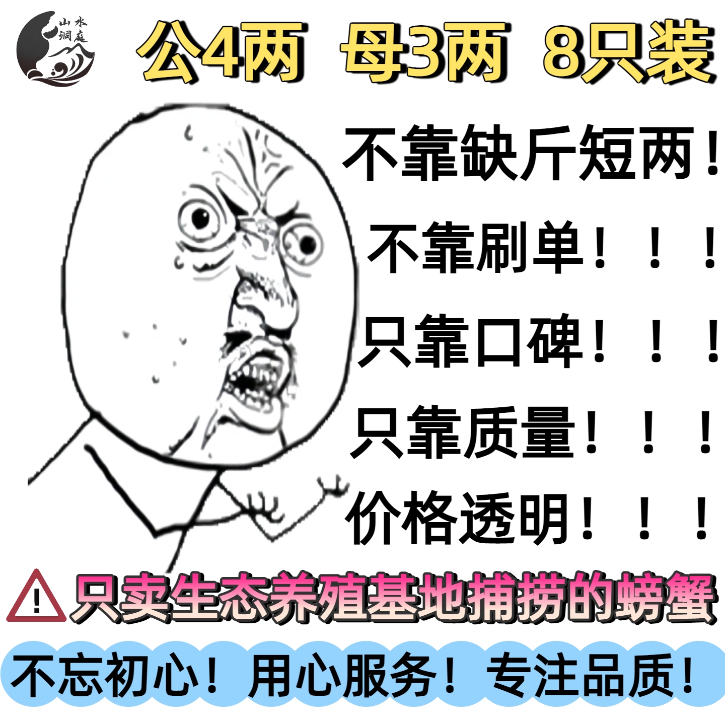 太湖大闸蟹太湖蟹公4两母3两8只