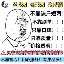 【活蟹】苏州太湖大闸蟹生态养殖公4两母3两共8只礼盒装鲜活螃蟹