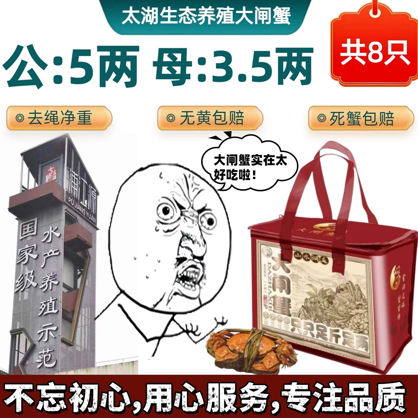 太湖大闸蟹太湖蟹全母蟹3.5两8只