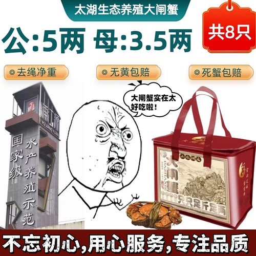 太湖大闸蟹太湖蟹全母蟹3.5两8只
