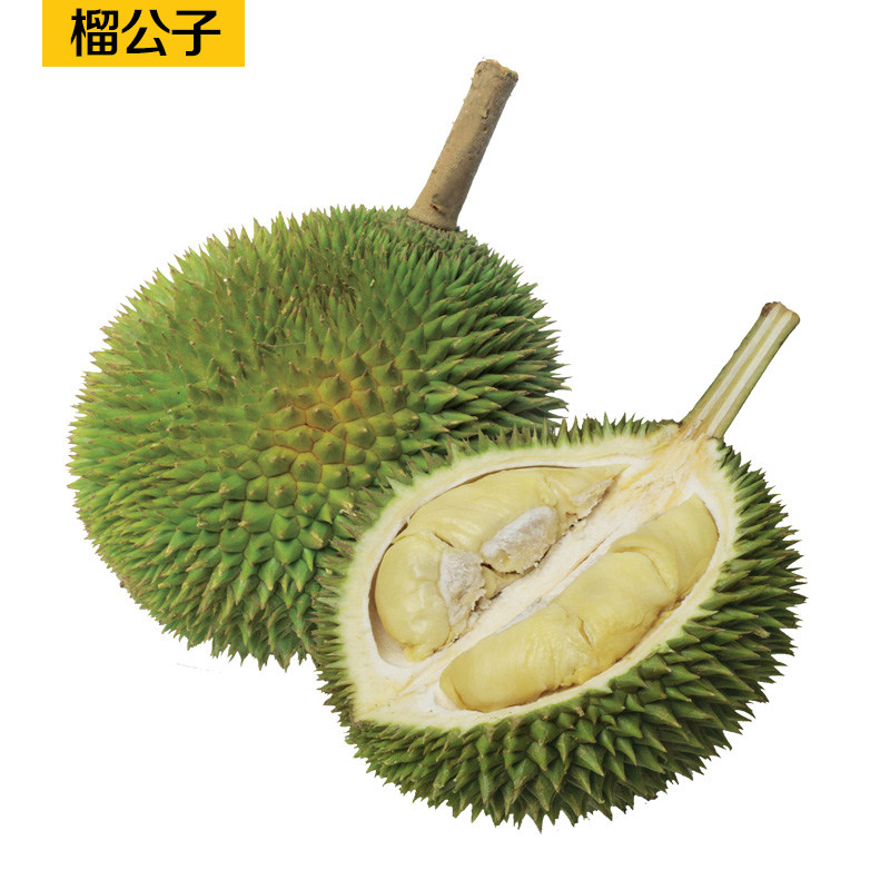 10kg原箱 马来西亚d198金凤榴莲 液氮冷冻冰鲜树上熟 顺丰包邮