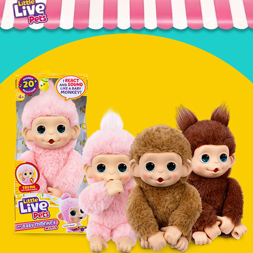 Littlelivepetsmonkey猴宝宝