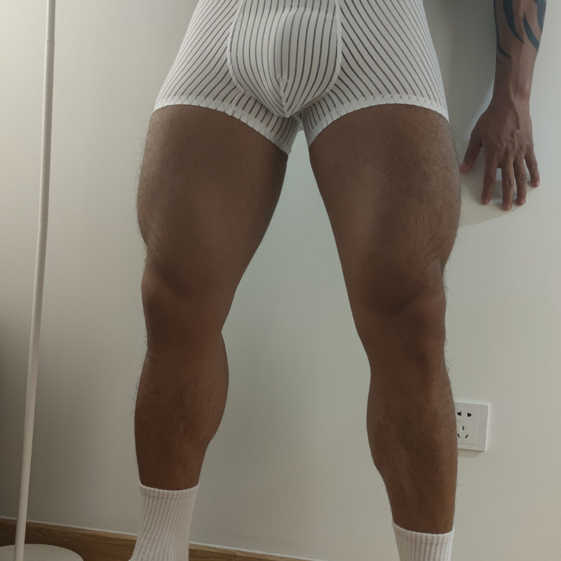 3筋肉斑马PT网孔男士内裤男冰丝无痕四角裤薄款商务性感透气平角