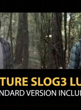 自然LUT支持PR、AE、FCPX,达芬奇等软件