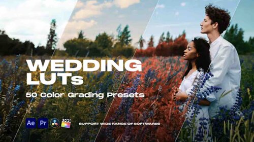 fcpx调色预设 50组婚礼调色预设  支持AE,FCPX,PR,达芬奇等等软件