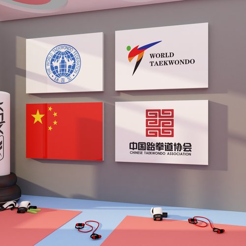 博尼亚跆拳道防水立体墙贴