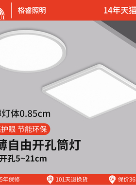 嵌入式孔灯自由开孔面板灯超薄圆形方形筒灯6w8w15w20w三色变光灯